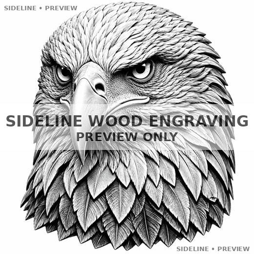 Intense Carved Eagle Portrait