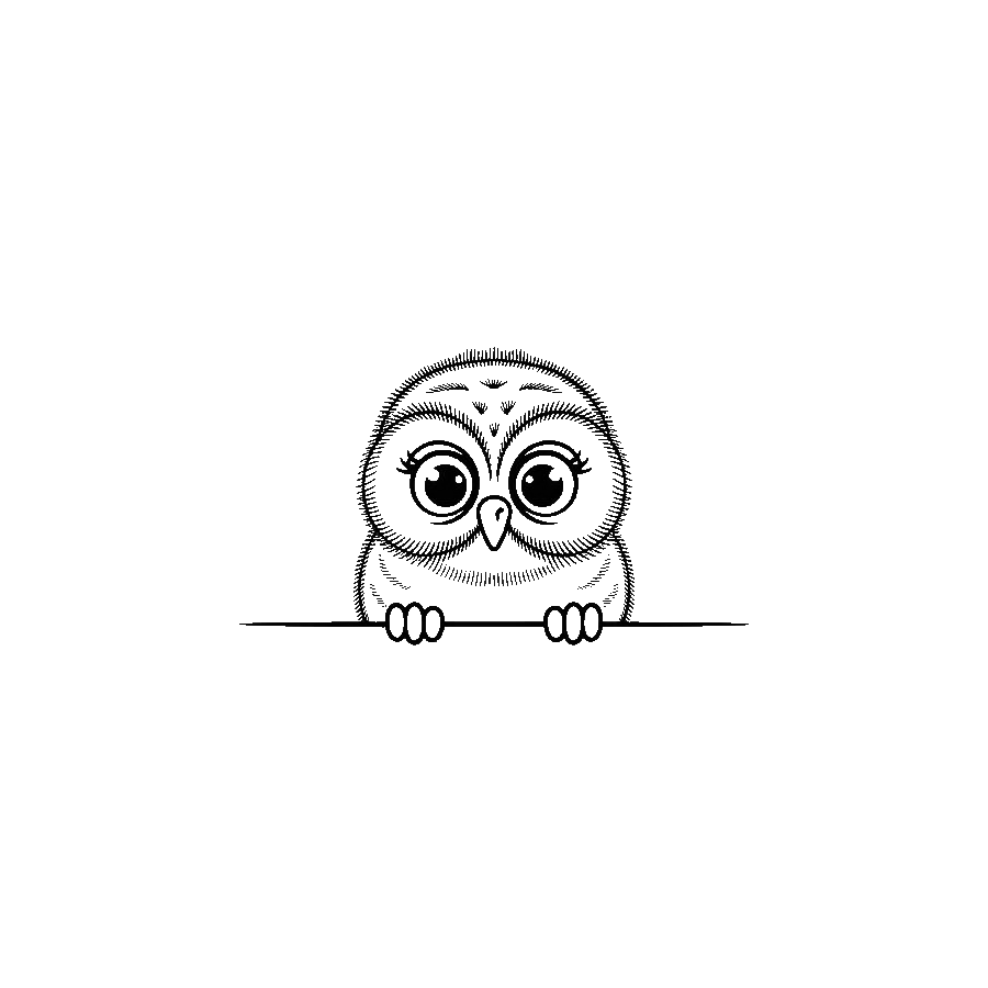 Owl (2)