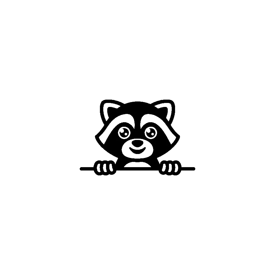 Raccoon (2)