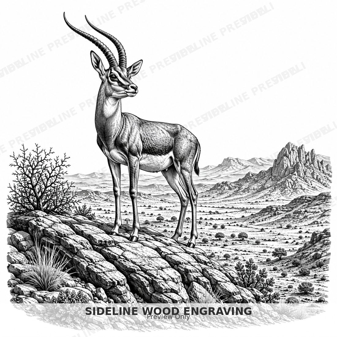 Antelope on rocky outcrop in desert