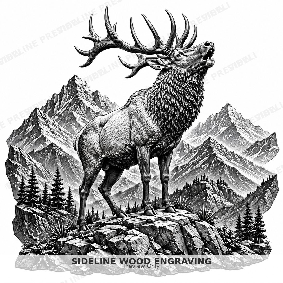 Bull elk bugling on a rocky ridge with layered mountain peaks behind