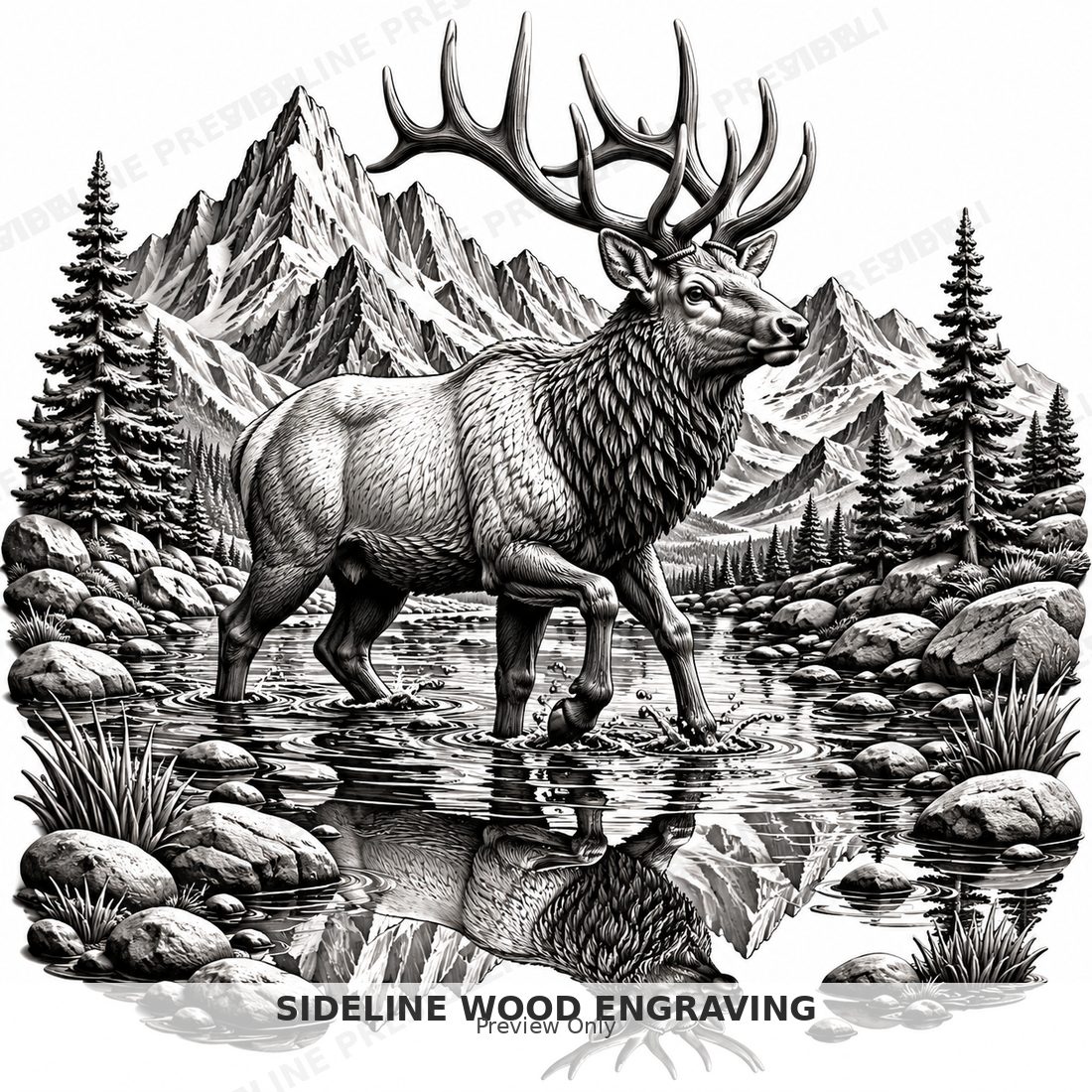 Elk crossing a shallow mountain stream with peaks reflected in the water