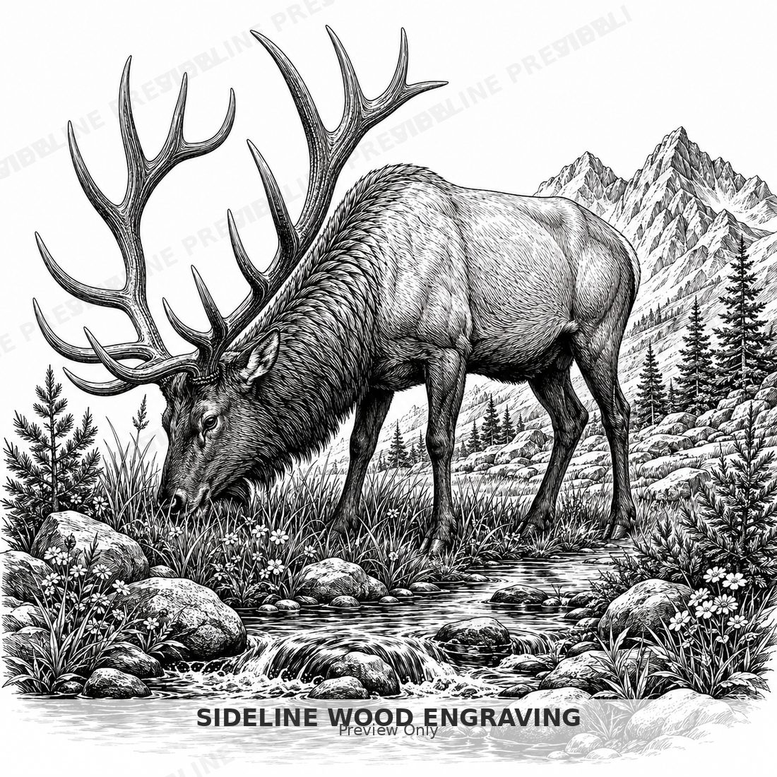Elk grazing by a mountain stream