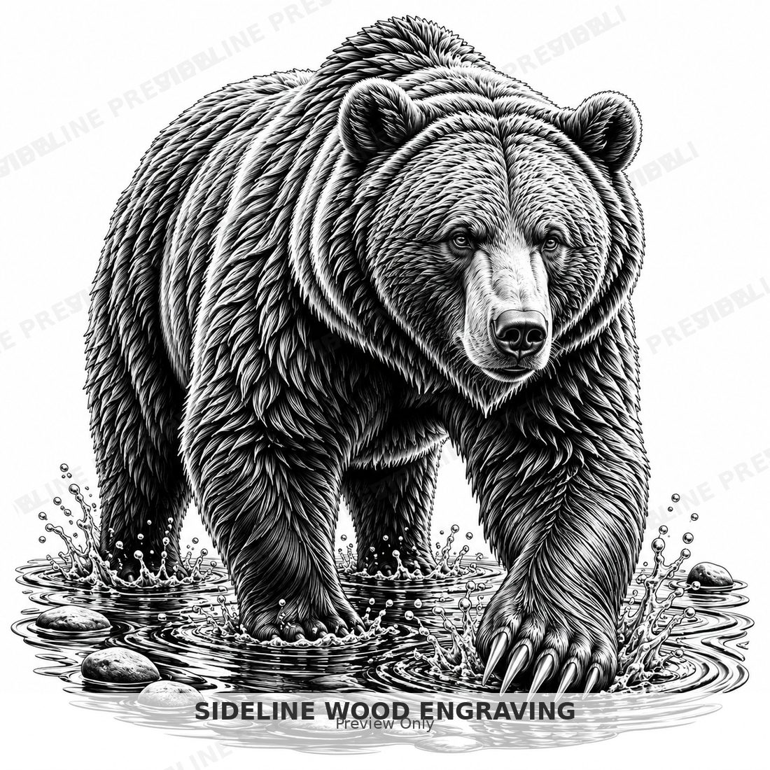 Grizzly bear wading through water