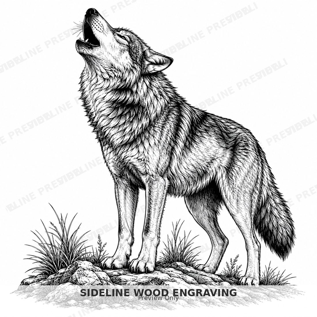 Howling wolf on rocky ridge