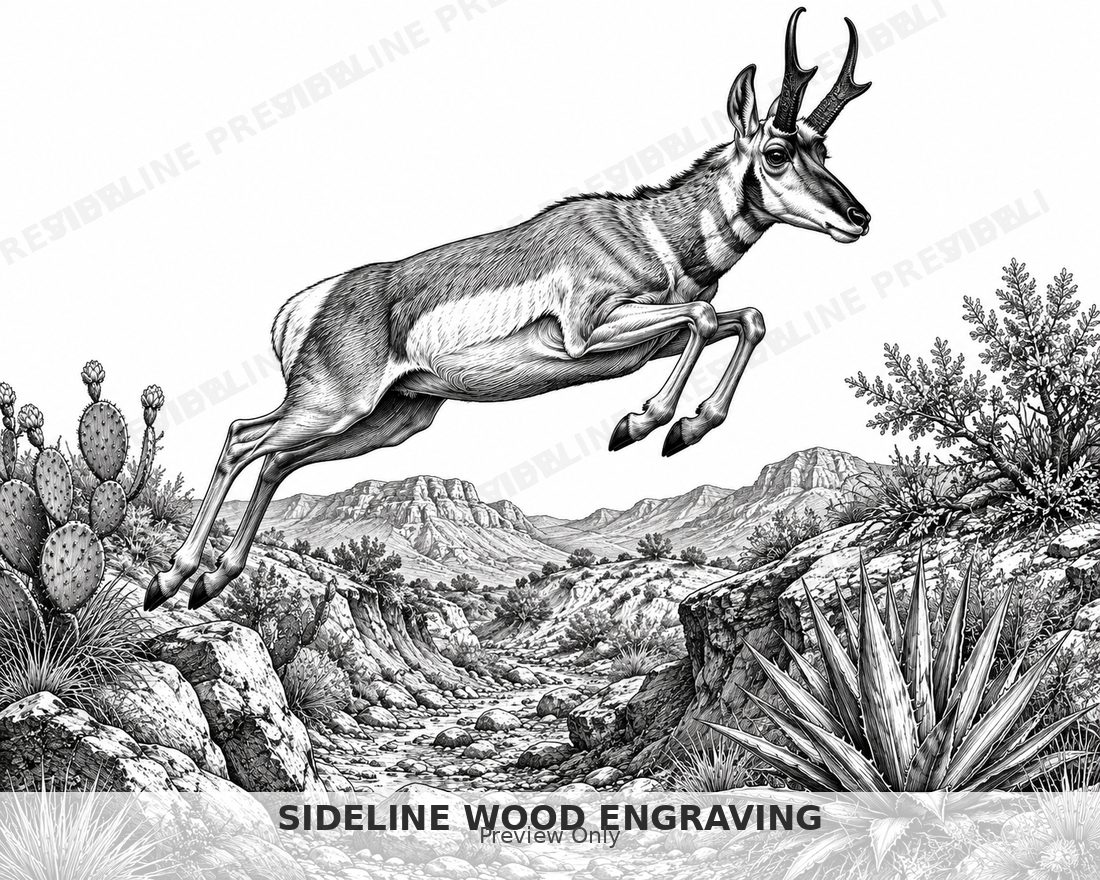 Leaping pronghorn in desert terrain