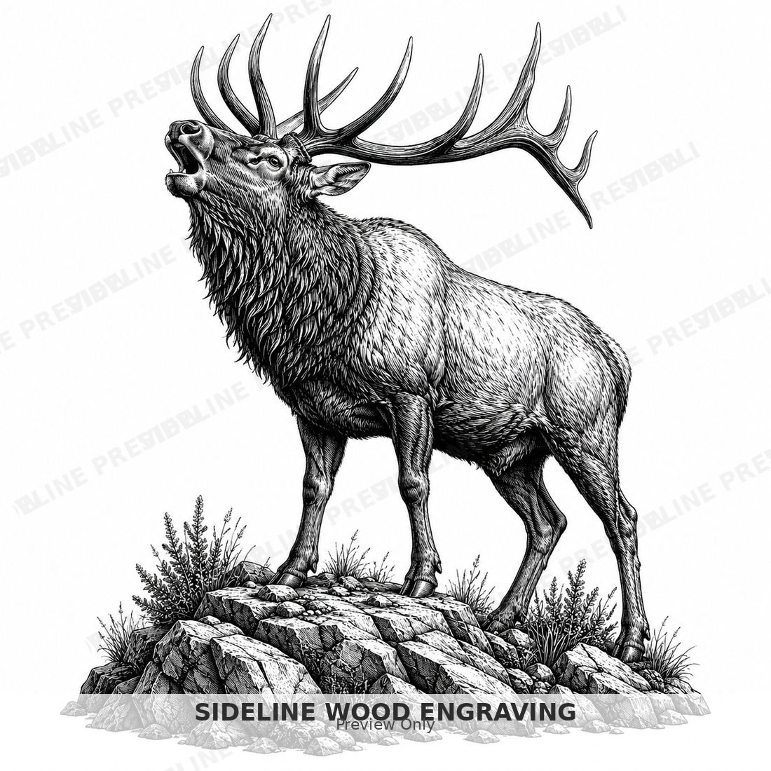 Majestic elk on rugged outcrop