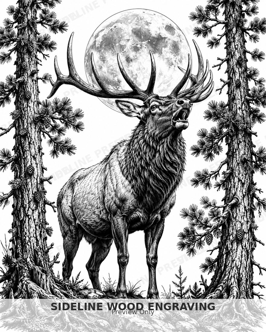 Majestic elk under the full moon