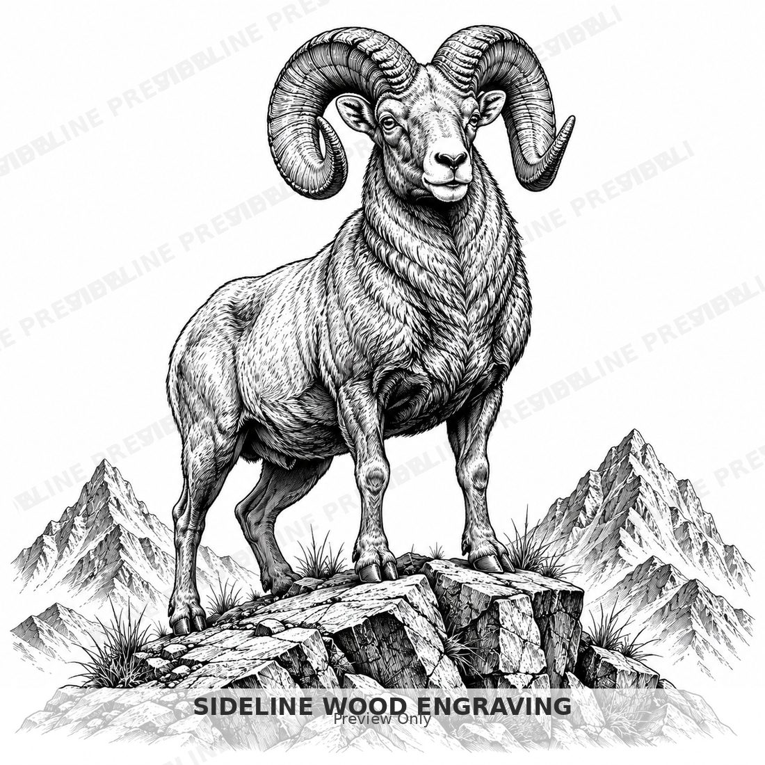 Majestic ram on rocky outcrop