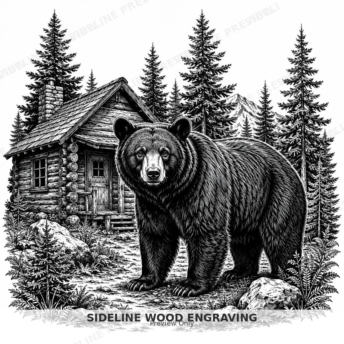 Monochrome bear by the cabin
