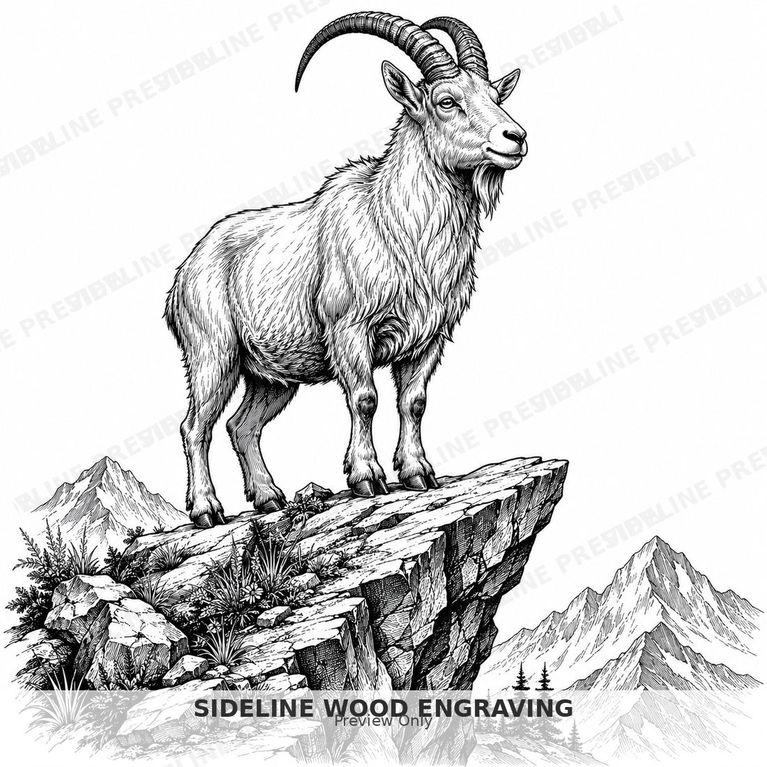 Mountain goat on rocky cliff