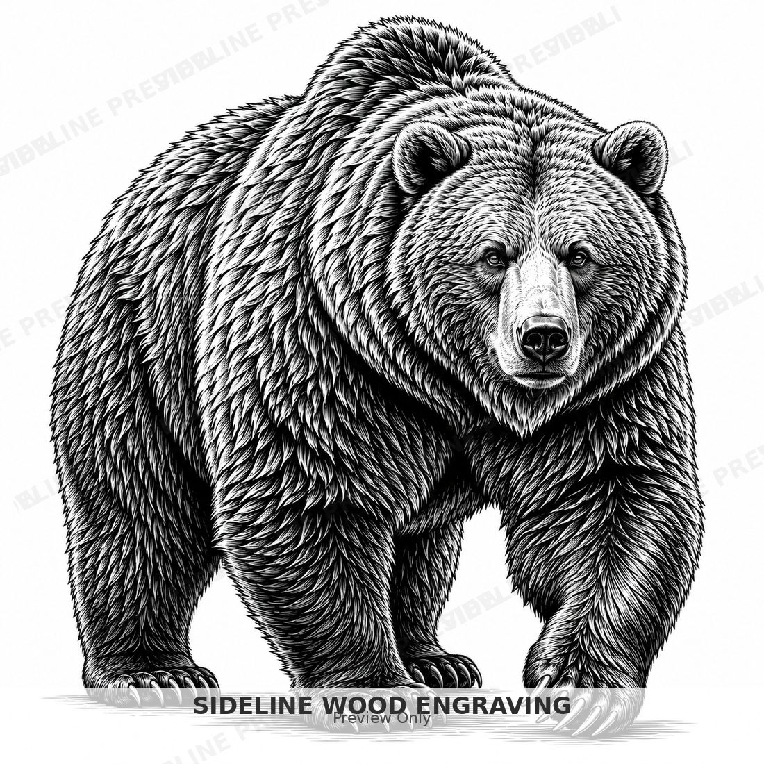 Powerful grizzly in intricate detail