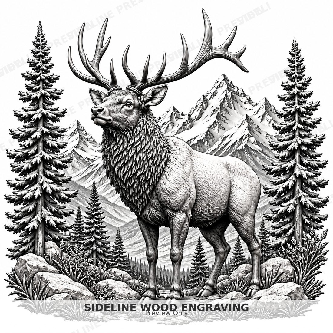 Solitary elk framed by tall evergreens with snow-capped mountains beyond